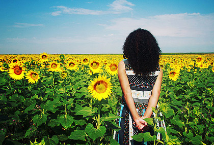 在线免费轰炸电话网页版